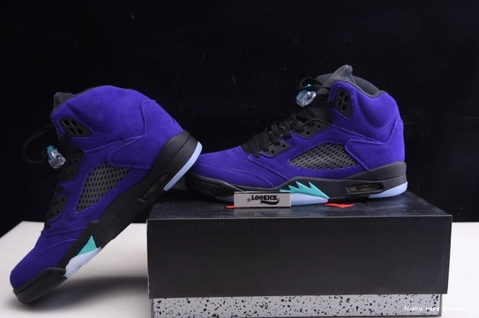 Rep Husky 5 Alternate 136027-500 Jordan Retro Air Grape 0705